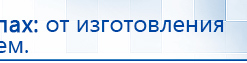 Электроды Скэнар -  двойной овал 55х90 мм купить в Энгельсе, Электроды Скэнар купить в Энгельсе, Скэнар официальный сайт - denasvertebra.ru